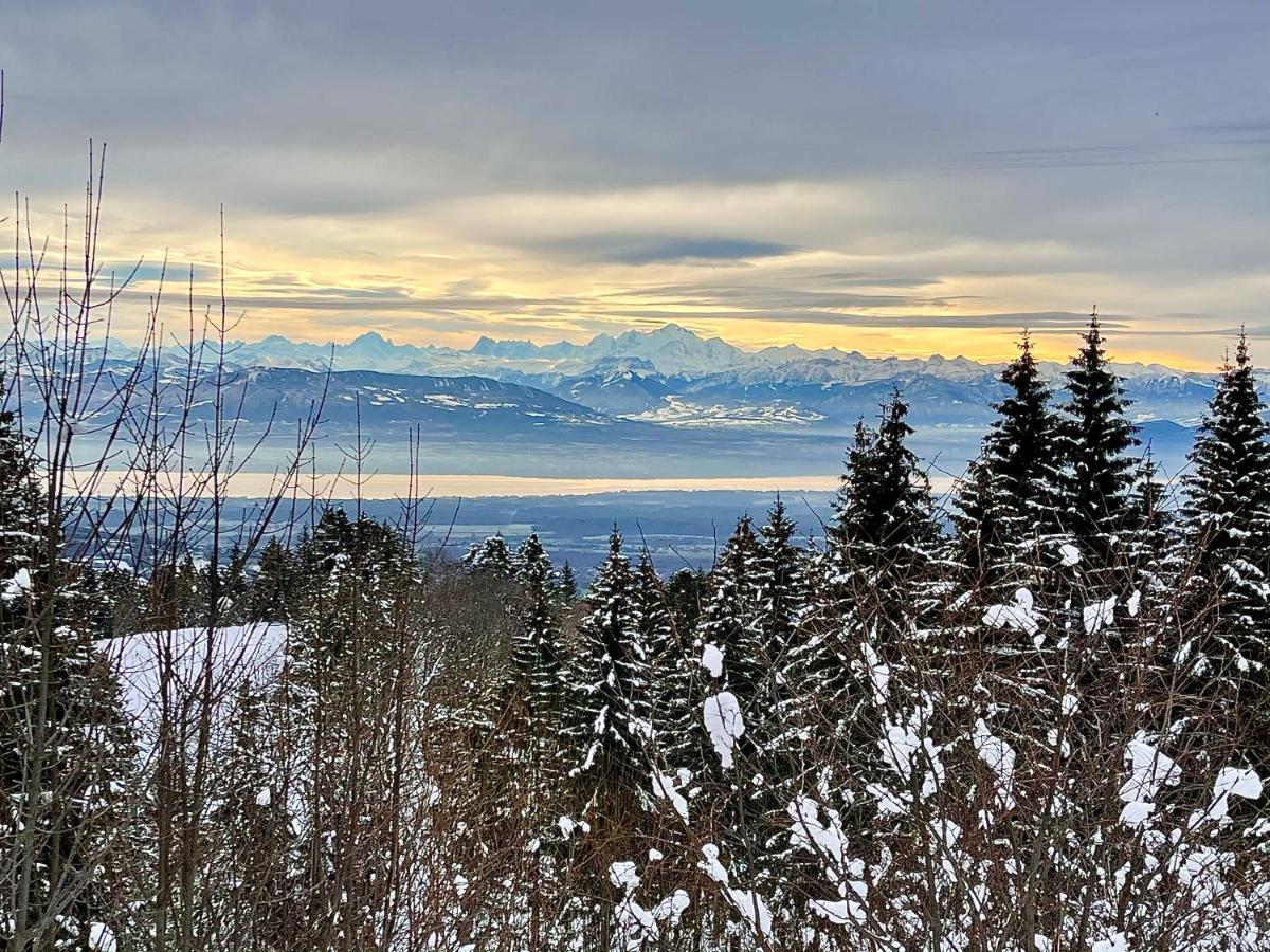 لامورا Gite Avec Terrasse Et Belle Vue - Chaletnelda Com المظهر الخارجي الصورة